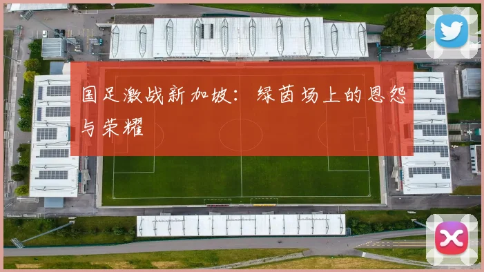 国足激战新加坡：绿茵场上的恩怨与荣耀