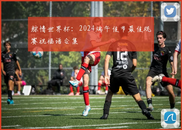 粽情世界杯：2024端午佳节最佳观赛祝福语合集