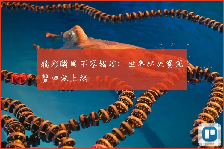 精彩瞬间不容错过：世界杯决赛完整回放上线