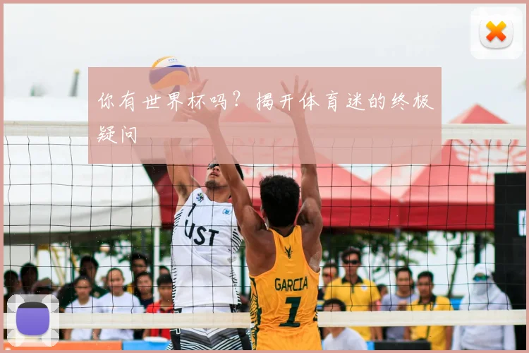 你有世界杯吗？揭开体育迷的终极疑问